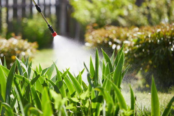 24/7 Emergency Cockroach Control experts in Ontonagon, MI