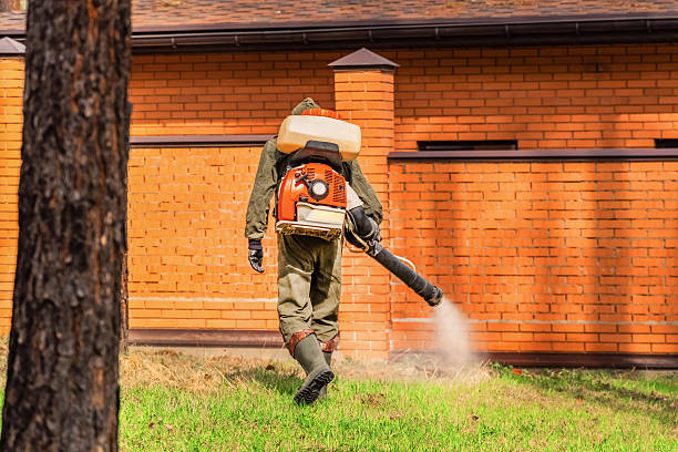 Top rated local Cockroach Control specialists in Ontonagon, MI